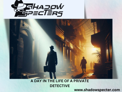 PRIVATE DETECTIVE